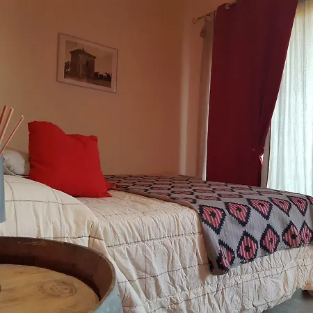 Vino Divino * Костильоле-д'Астри