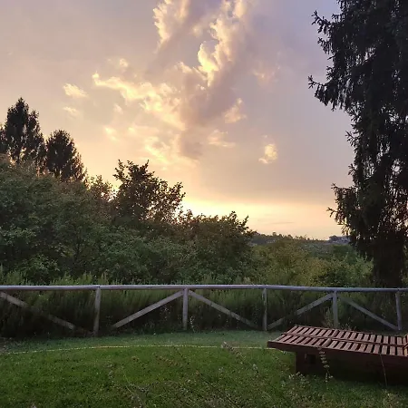 Vino Divino * Costigliole d'Asti