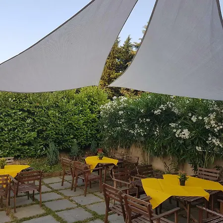 Vino Divino Costigliole d'Asti