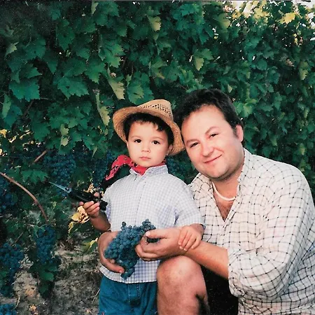 Vino Divino * Костильоле-д'Астри