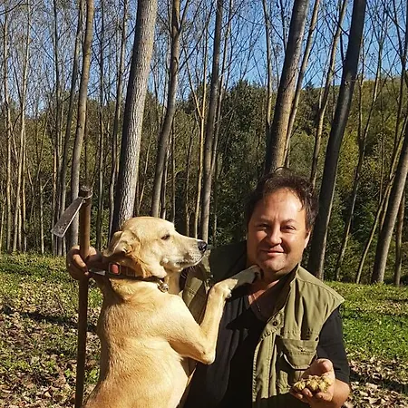 Vino Divino