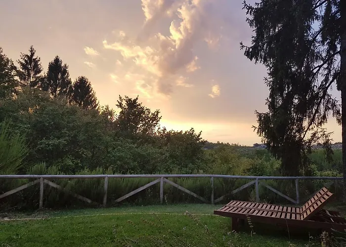 Vino Divino * Costigliole d'Asti