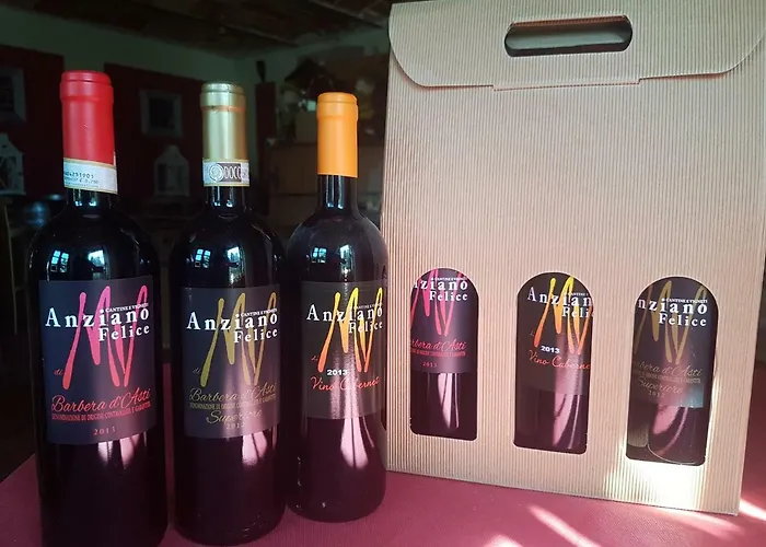Farm stay Vino Divino Costigliole d'Asti